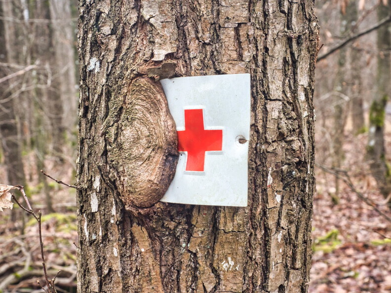 20220123160543-ee884e6a